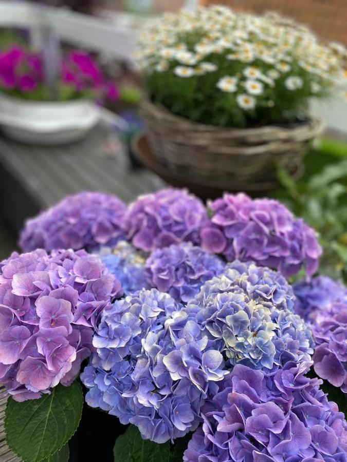Bed & Breakfast Moments スハーヘン エクステリア 写真